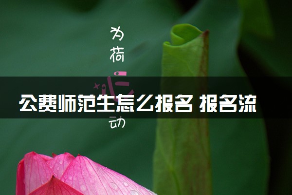 公费师范生怎么报名 报名流程整理