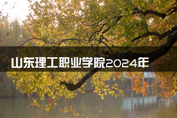 山东理工职业学院2024年录取分数线 各专业录取最低分及位次