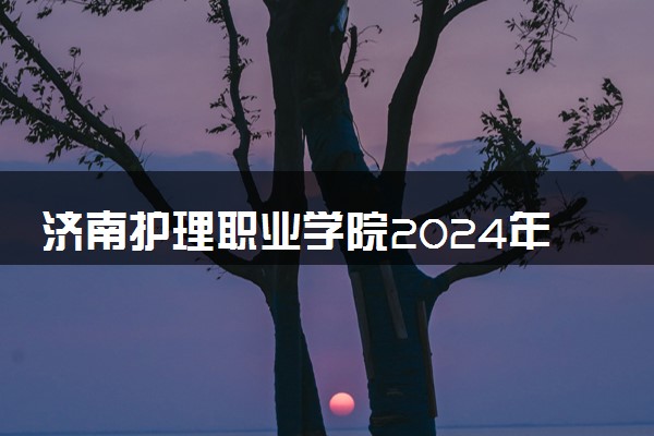济南护理职业学院2024年录取分数线 各专业录取最低分及位次