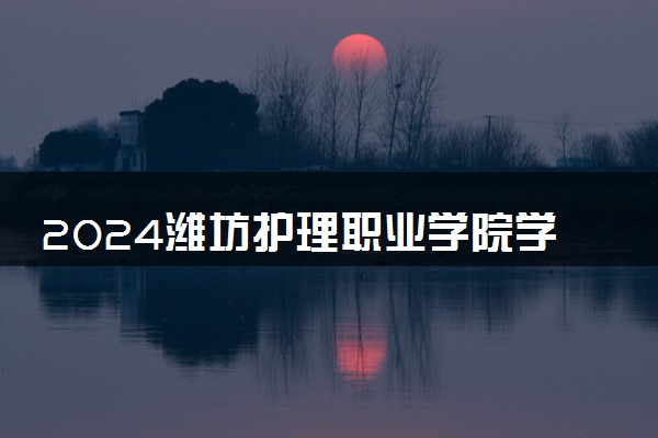 2024潍坊护理职业学院学费多少钱一年 各专业收费标准