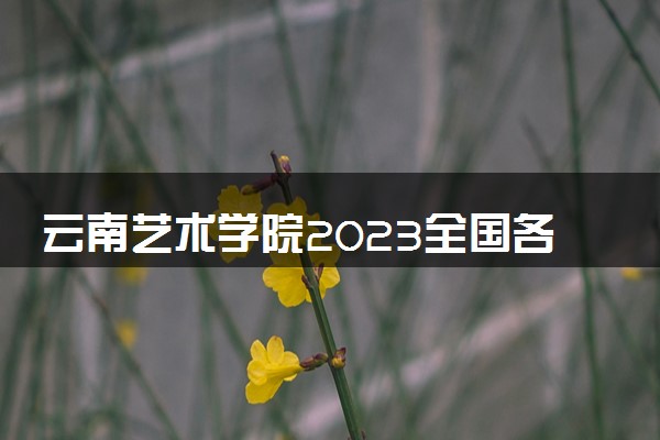 云南艺术学院2023全国各省录取分数线及最低位次 高考多少分能上