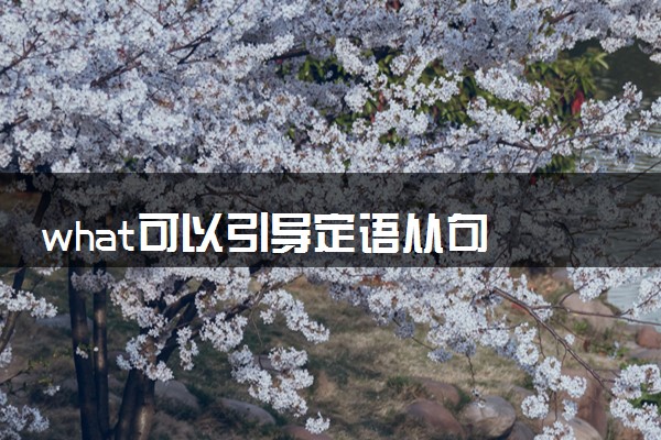 what可以引导定语从句