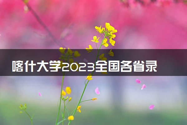喀什大学2023全国各省录取分数线及最低位次 高考多少分能上