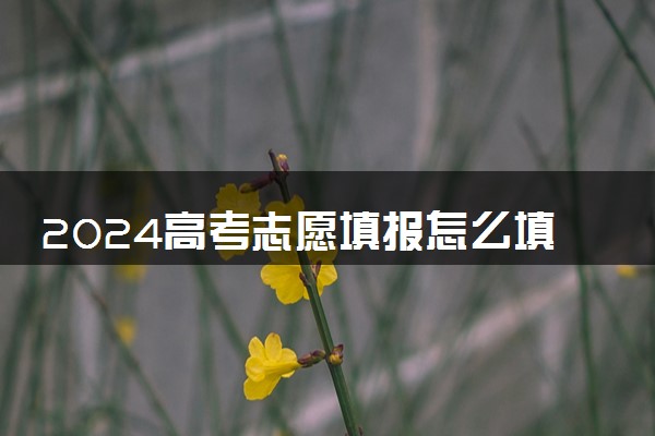 2024高考志愿填报怎么填才稳 有哪些填报误区需要注意