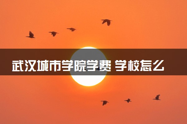 武汉城市学院学费 学校怎么样