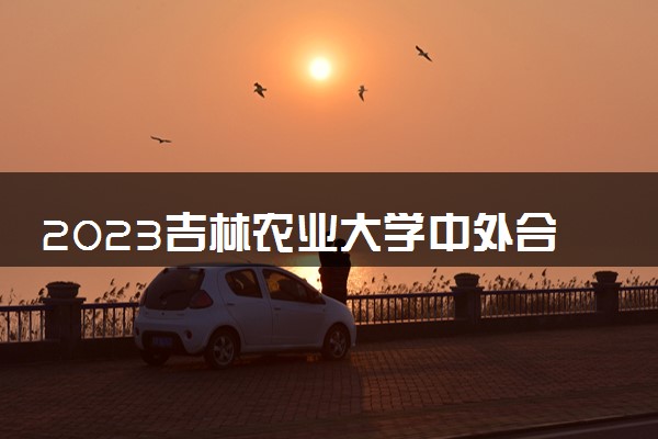 2023吉林农业大学中外合作办学录取分数线 最低多少分能上
