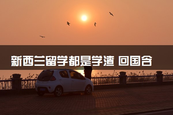 新西兰留学都是学渣 回国含金量