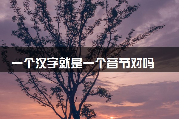 一个汉字就是一个音节对吗