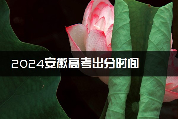 2024安徽高考出分时间 怎么查询高考成绩