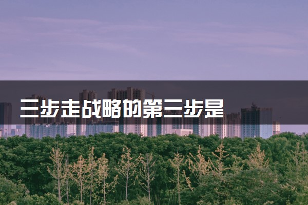 三步走战略的第三步是