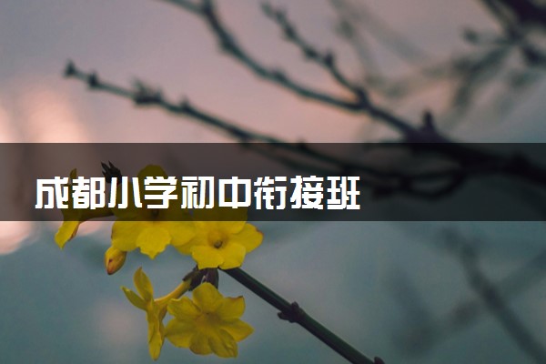 成都小学初中衔接班