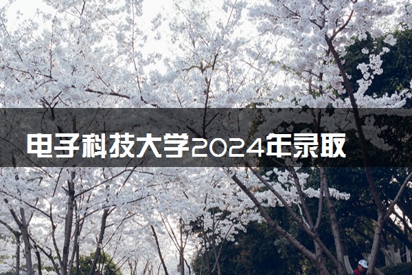 电子科技大学2024年录取分数线 各专业录取最低分及位次