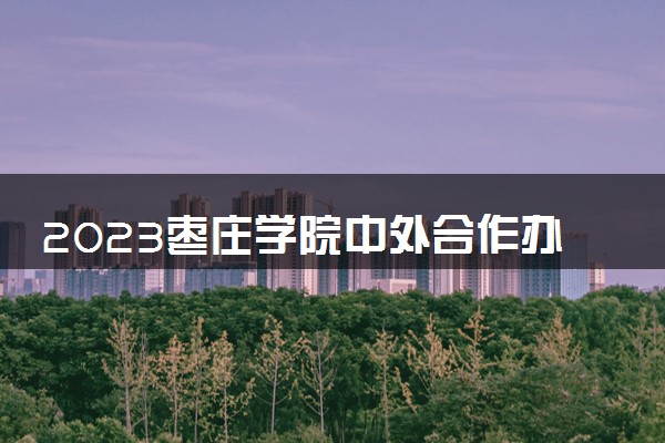 2023枣庄学院中外合作办学录取分数线 最低多少分能上