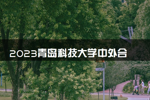 2023青岛科技大学中外合作办学录取分数线 最低多少分能上