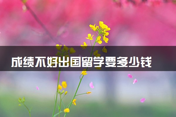 成绩不好出国留学要多少钱 一年费用大概多少