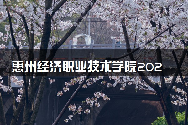 惠州经济职业技术学院2024年录取分数线 各专业录取最低分及位次