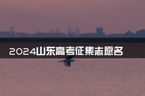 2024山东高考征集志愿名单在哪查 填报入口是什么