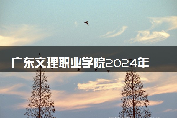 广东文理职业学院2024年录取分数线 各专业录取最低分及位次