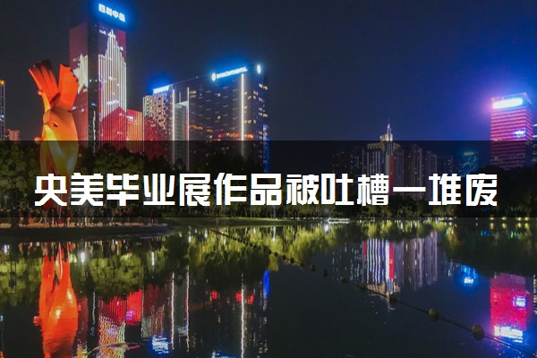 央美毕业展作品被吐槽一堆废纸壳 具体怎么回事