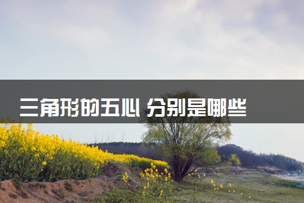 三角形的五心 分别是哪些