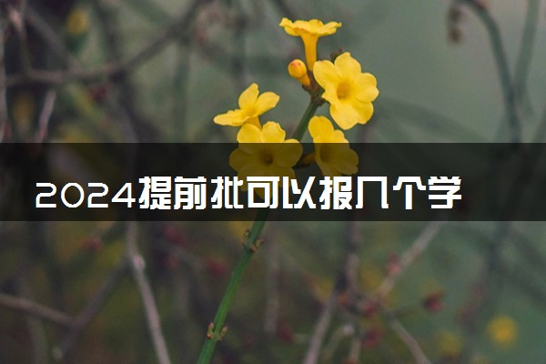 2024提前批可以报几个学校 志愿怎么填报