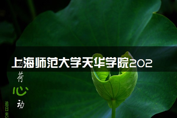 上海师范大学天华学院2023全国各省录取分数线及最低位次 高考多少分能上