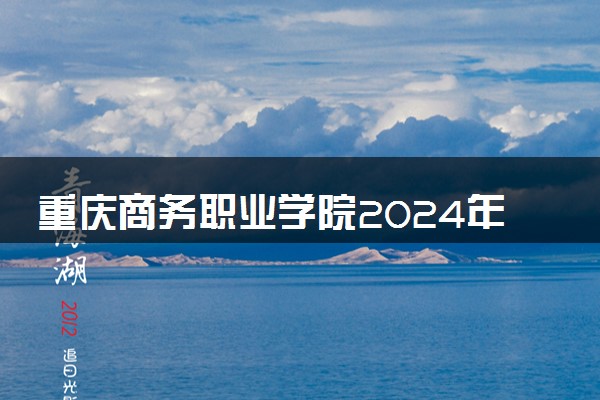 重庆商务职业学院2024年录取分数线 各专业录取最低分及位次