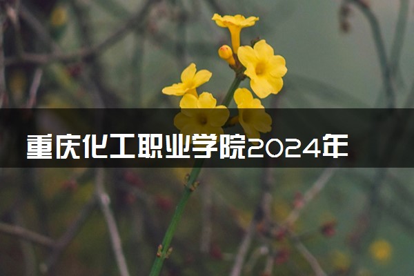 重庆化工职业学院2024年录取分数线 各专业录取最低分及位次