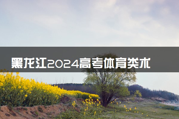 黑龙江2024高考体育类术科成绩及一分一段表