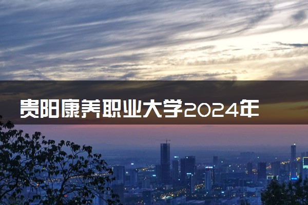 贵阳康养职业大学2024年录取分数线 各专业录取最低分及位次