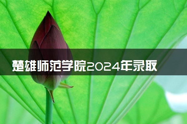 楚雄师范学院2024年录取分数线 各专业录取最低分及位次