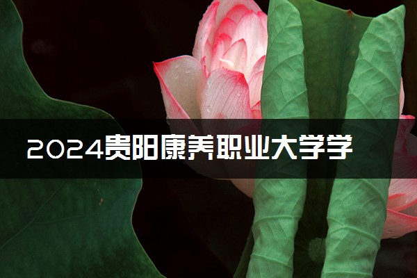 2024贵阳康养职业大学学费多少钱一年 各专业收费标准
