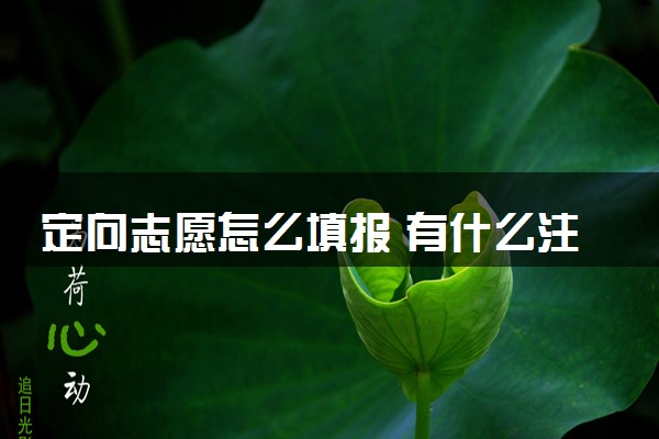 定向志愿怎么填报 有什么注意事项