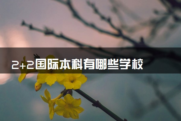 2+2国际本科有哪些学校 具体院校名单