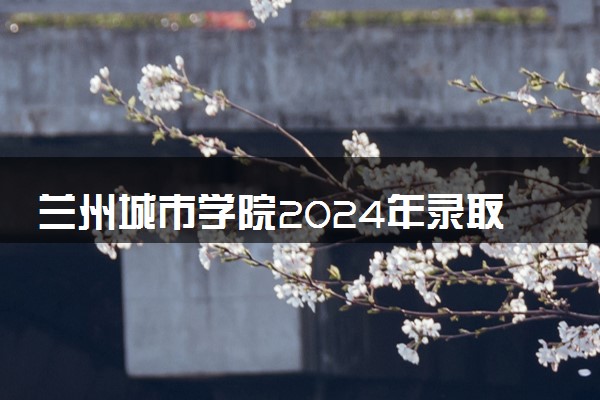 兰州城市学院2024年录取分数线 各专业录取最低分及位次