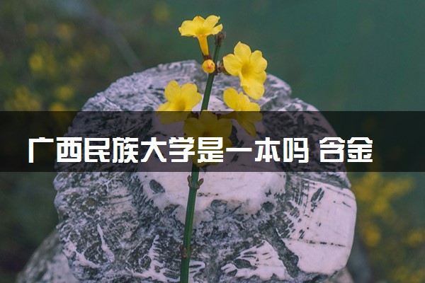 广西民族大学是一本吗 含金量高不高