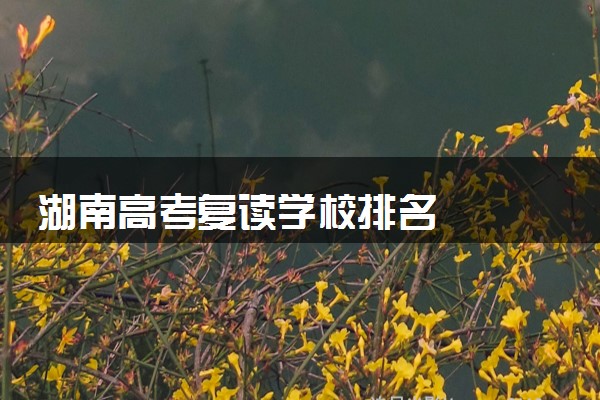 湖南高考复读学校排名