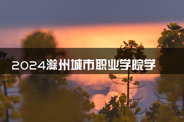 2024滁州城市职业学院学费多少钱一年 各专业收费标准