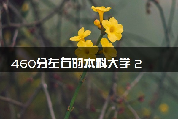 460分左右的本科大学 2024哪些值得报