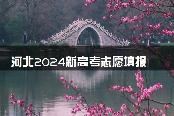 河北2024新高考志愿填报规则 详细填报志愿指南
