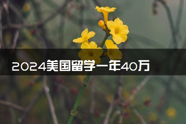 2024美国留学一年40万够吗 花费多少人民币