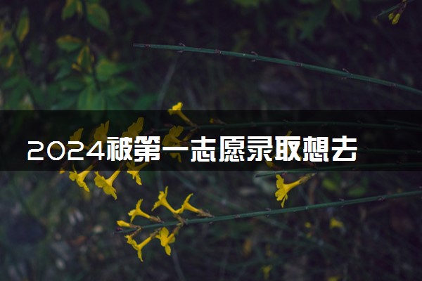 2024被第一志愿录取想去第二志愿怎么办 能被录取吗