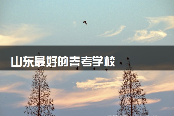 山东最好的春考学校