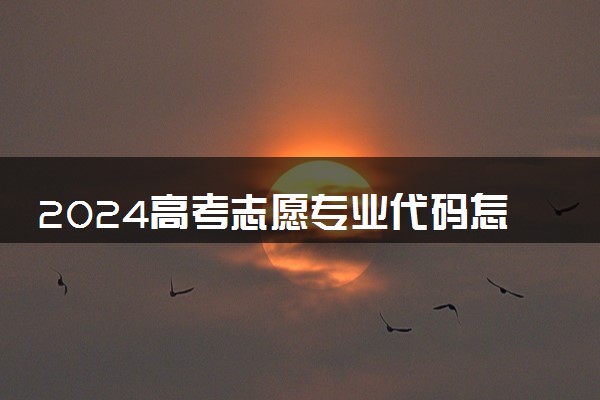 2024高考志愿专业代码怎么填写 如何查询专业代码