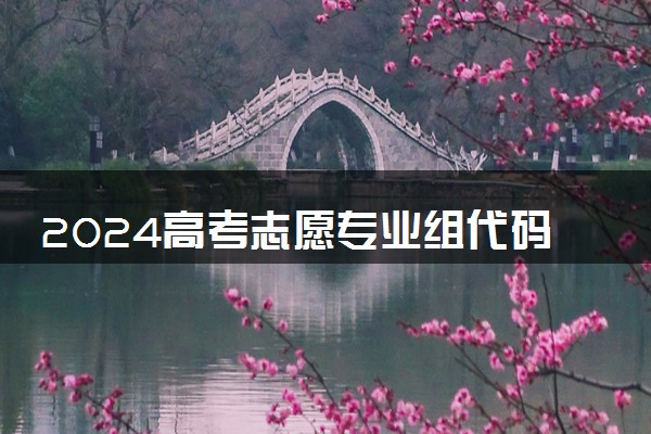 2024高考志愿专业组代码去哪找 有哪些查询方法