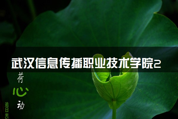 武汉信息传播职业技术学院2023全国各省录取分数线及最低位次 高考多少分能上