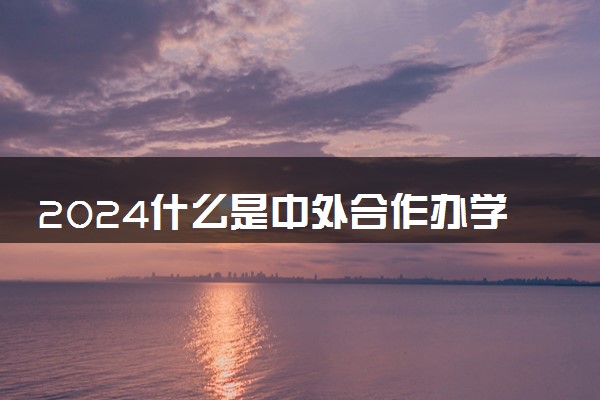 2024什么是中外合作办学留学 适合哪些学生报考