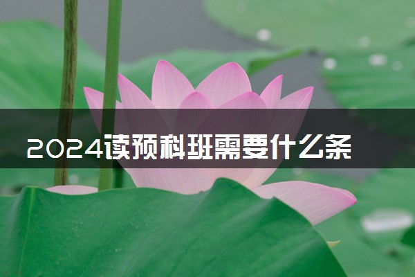 2024读预科班需要什么条件 有哪些好处