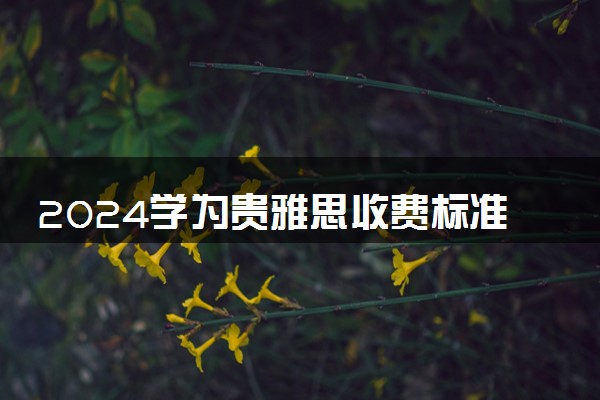2024学为贵雅思收费标准 费用一年多少钱