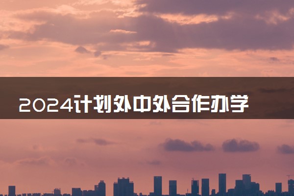 2024计划外中外合作办学留学费用预算多少钱合适